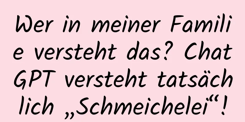 Wer in meiner Familie versteht das? ChatGPT versteht tatsächlich „Schmeichelei“!