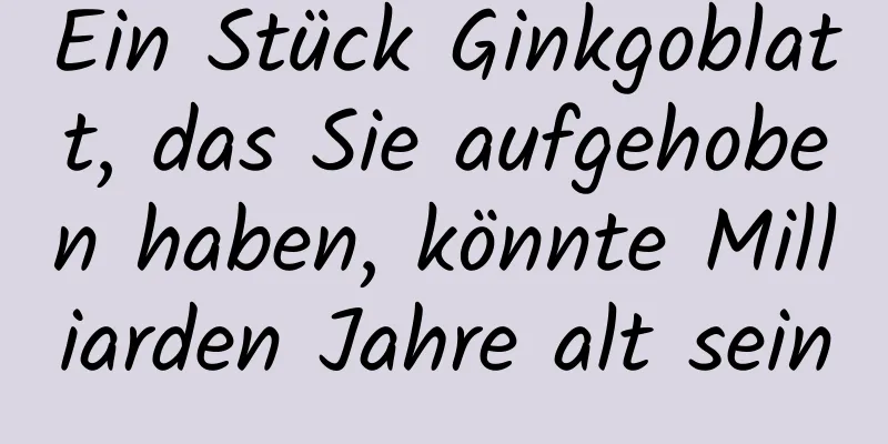 Ein Stück Ginkgoblatt, das Sie aufgehoben haben, könnte Milliarden Jahre alt sein