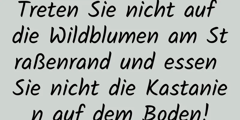 Treten Sie nicht auf die Wildblumen am Straßenrand und essen Sie nicht die Kastanien auf dem Boden!