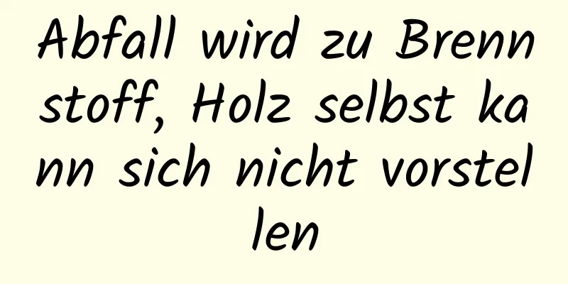Abfall wird zu Brennstoff, Holz selbst kann sich nicht vorstellen