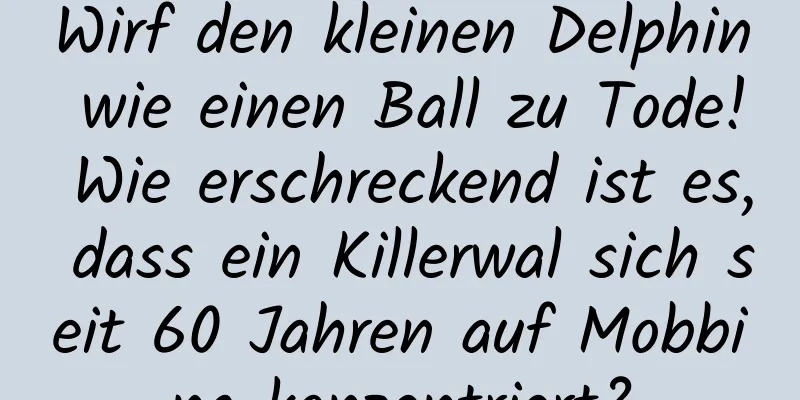 Wirf den kleinen Delphin wie einen Ball zu Tode! Wie erschreckend ist es, dass ein Killerwal sich seit 60 Jahren auf Mobbing konzentriert?