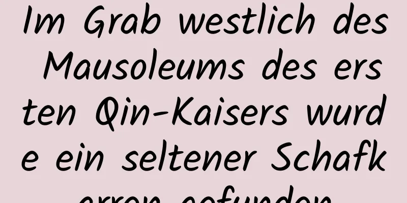 Im Grab westlich des Mausoleums des ersten Qin-Kaisers wurde ein seltener Schafkarren gefunden