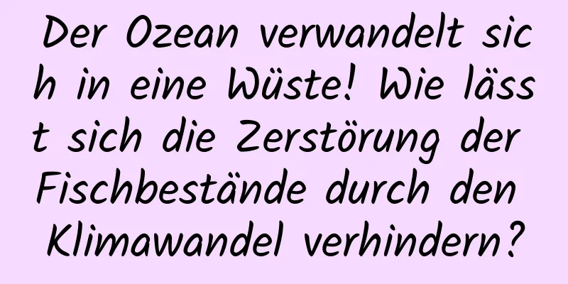 Der Ozean verwandelt sich in eine Wüste! Wie lässt sich die Zerstörung der Fischbestände durch den Klimawandel verhindern?