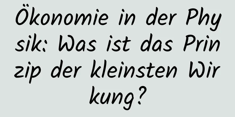 Ökonomie in der Physik: Was ist das Prinzip der kleinsten Wirkung?