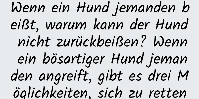 Wenn ein Hund jemanden beißt, warum kann der Hund nicht zurückbeißen? Wenn ein bösartiger Hund jemanden angreift, gibt es drei Möglichkeiten, sich zu retten