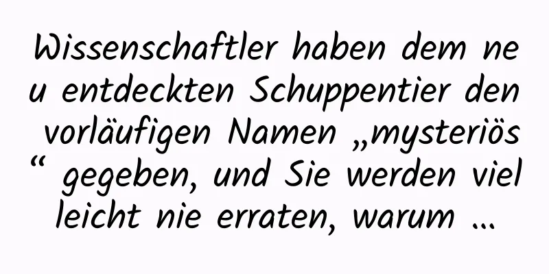 Wissenschaftler haben dem neu entdeckten Schuppentier den vorläufigen Namen „mysteriös“ gegeben, und Sie werden vielleicht nie erraten, warum …