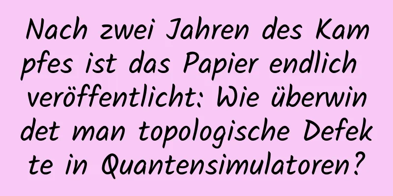 Nach zwei Jahren des Kampfes ist das Papier endlich veröffentlicht: Wie überwindet man topologische Defekte in Quantensimulatoren?