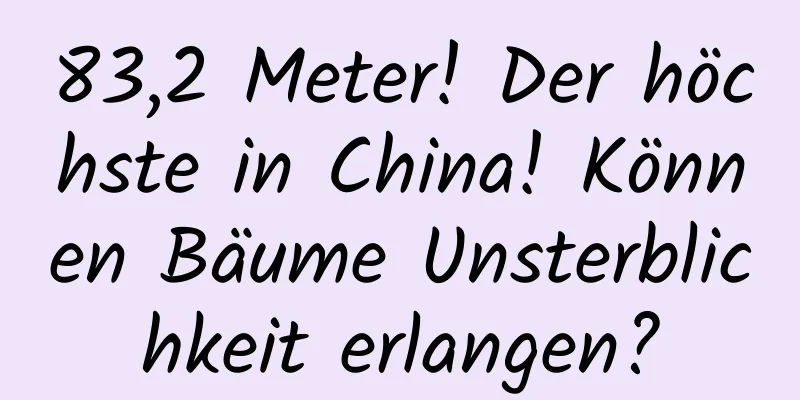 83,2 Meter! Der höchste in China! Können Bäume Unsterblichkeit erlangen?