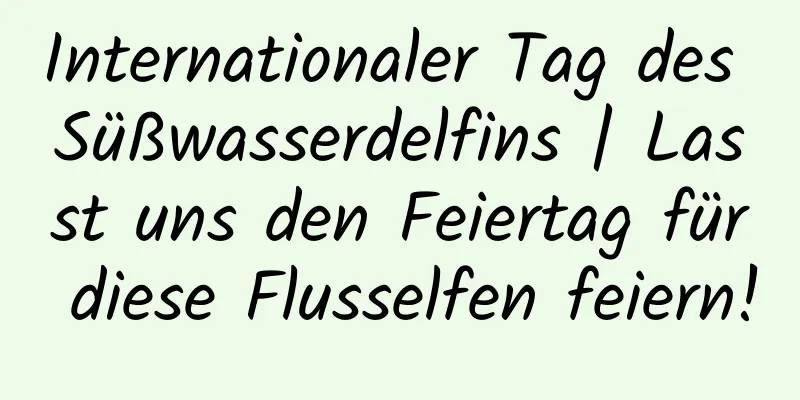Internationaler Tag des Süßwasserdelfins | Lasst uns den Feiertag für diese Flusselfen feiern!