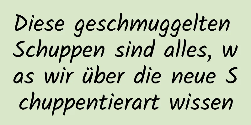 Diese geschmuggelten Schuppen sind alles, was wir über die neue Schuppentierart wissen