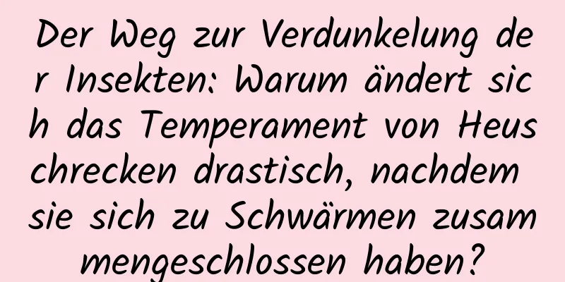 Der Weg zur Verdunkelung der Insekten: Warum ändert sich das Temperament von Heuschrecken drastisch, nachdem sie sich zu Schwärmen zusammengeschlossen haben?