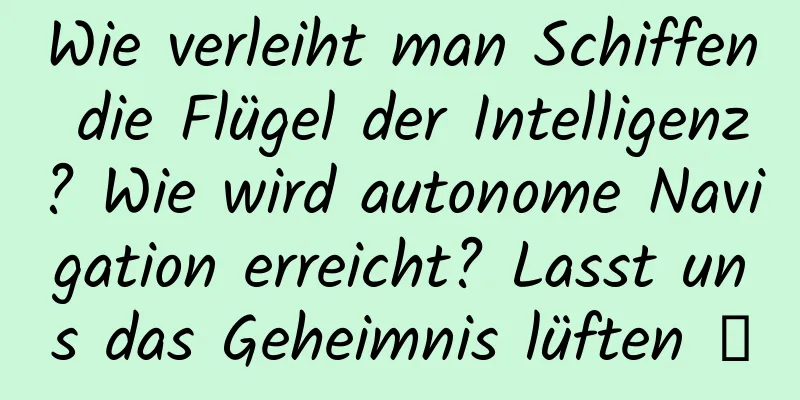 Wie verleiht man Schiffen die Flügel der Intelligenz? Wie wird autonome Navigation erreicht? Lasst uns das Geheimnis lüften →