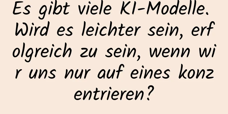 Es gibt viele KI-Modelle. Wird es leichter sein, erfolgreich zu sein, wenn wir uns nur auf eines konzentrieren?