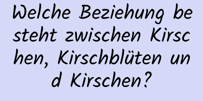 Welche Beziehung besteht zwischen Kirschen, Kirschblüten und Kirschen?