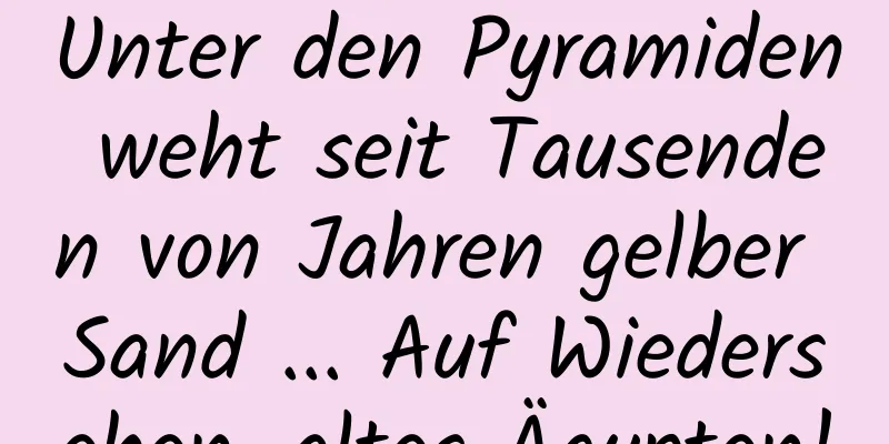 Unter den Pyramiden weht seit Tausenden von Jahren gelber Sand ... Auf Wiedersehen, altes Ägypten!