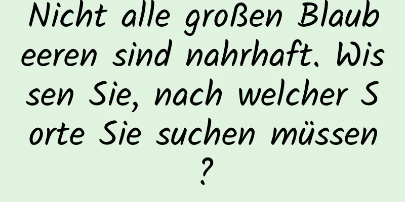 Nicht alle großen Blaubeeren sind nahrhaft. Wissen Sie, nach welcher Sorte Sie suchen müssen?