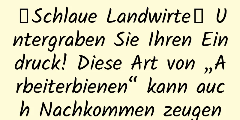 【Schlaue Landwirte】 Untergraben Sie Ihren Eindruck! Diese Art von „Arbeiterbienen“ kann auch Nachkommen zeugen