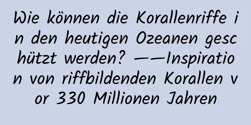 Wie können die Korallenriffe in den heutigen Ozeanen geschützt werden? ——Inspiration von riffbildenden Korallen vor 330 Millionen Jahren