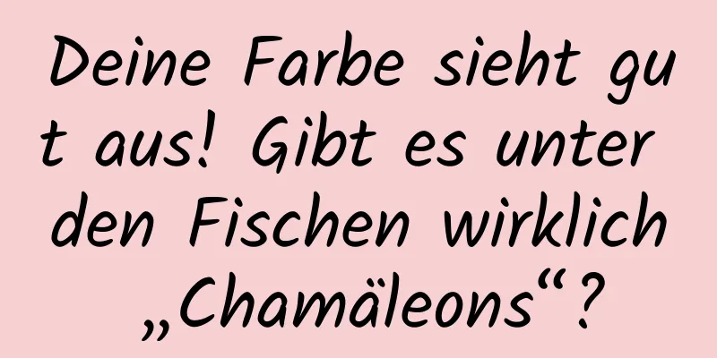 Deine Farbe sieht gut aus! Gibt es unter den Fischen wirklich „Chamäleons“?