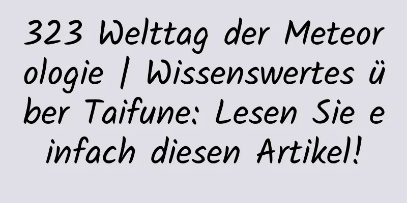 323 Welttag der Meteorologie | Wissenswertes über Taifune: Lesen Sie einfach diesen Artikel!