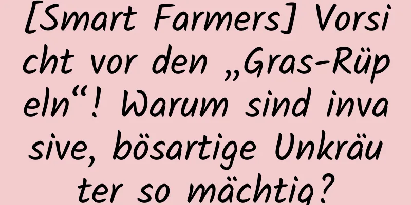 [Smart Farmers] Vorsicht vor den „Gras-Rüpeln“! Warum sind invasive, bösartige Unkräuter so mächtig?