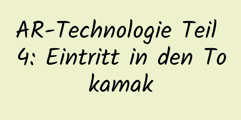 AR-Technologie Teil 4: Eintritt in den Tokamak