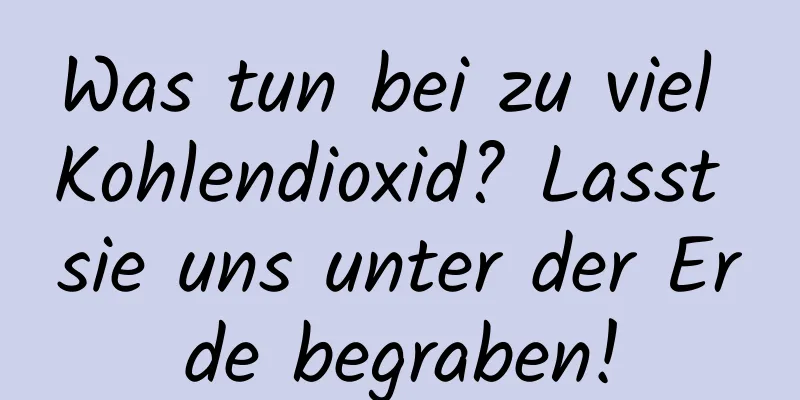 Was tun bei zu viel Kohlendioxid? Lasst sie uns unter der Erde begraben!