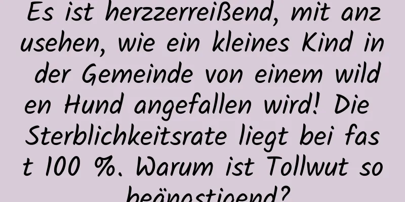 Es ist herzzerreißend, mit anzusehen, wie ein kleines Kind in der Gemeinde von einem wilden Hund angefallen wird! Die Sterblichkeitsrate liegt bei fast 100 %. Warum ist Tollwut so beängstigend?