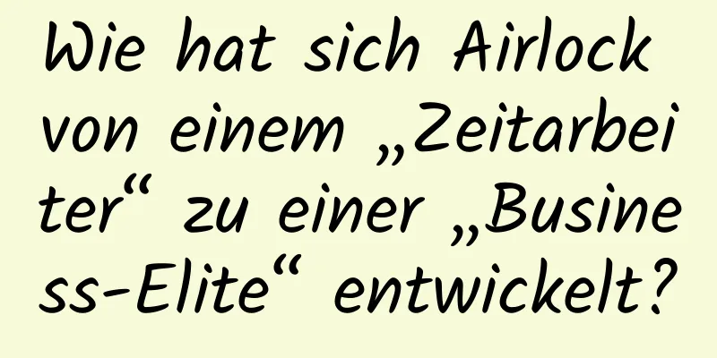 Wie hat sich Airlock von einem „Zeitarbeiter“ zu einer „Business-Elite“ entwickelt?