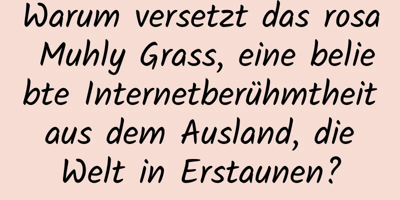 Warum versetzt das rosa Muhly Grass, eine beliebte Internetberühmtheit aus dem Ausland, die Welt in Erstaunen?