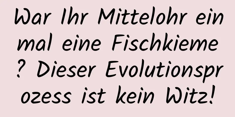 War Ihr Mittelohr einmal eine Fischkieme? Dieser Evolutionsprozess ist kein Witz!