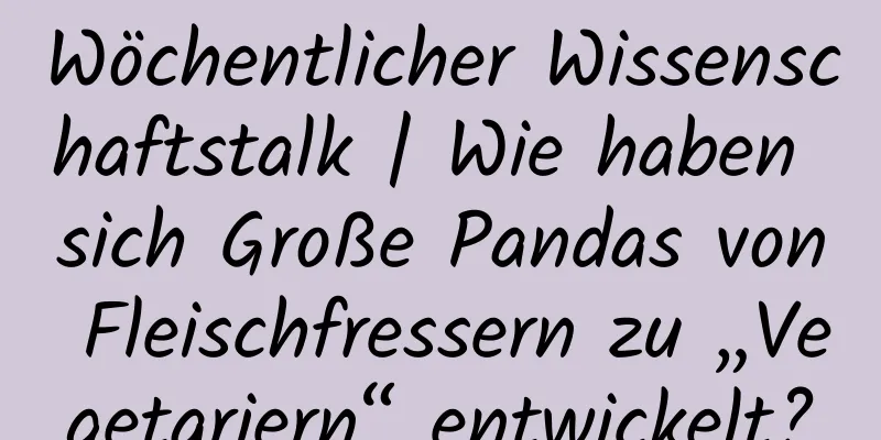 Wöchentlicher Wissenschaftstalk | Wie haben sich Große Pandas von Fleischfressern zu „Vegetariern“ entwickelt?