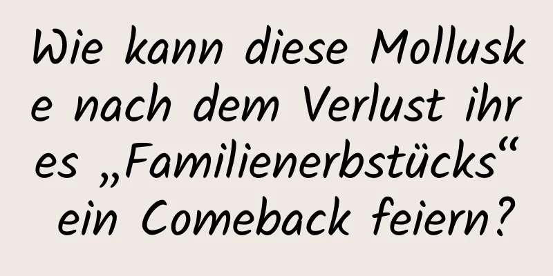 Wie kann diese Molluske nach dem Verlust ihres „Familienerbstücks“ ein Comeback feiern?