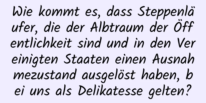 Wie kommt es, dass Steppenläufer, die der Albtraum der Öffentlichkeit sind und in den Vereinigten Staaten einen Ausnahmezustand ausgelöst haben, bei uns als Delikatesse gelten?