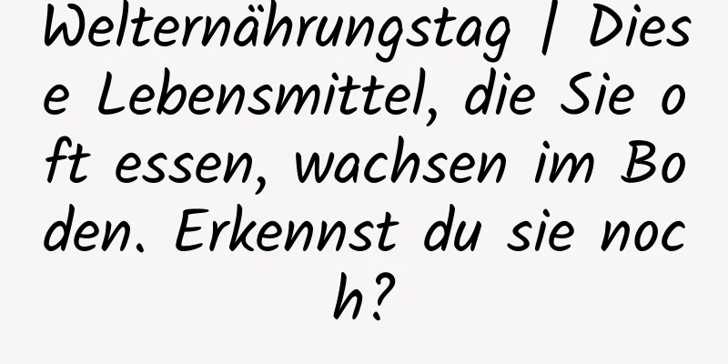 Welternährungstag | Diese Lebensmittel, die Sie oft essen, wachsen im Boden. Erkennst du sie noch?