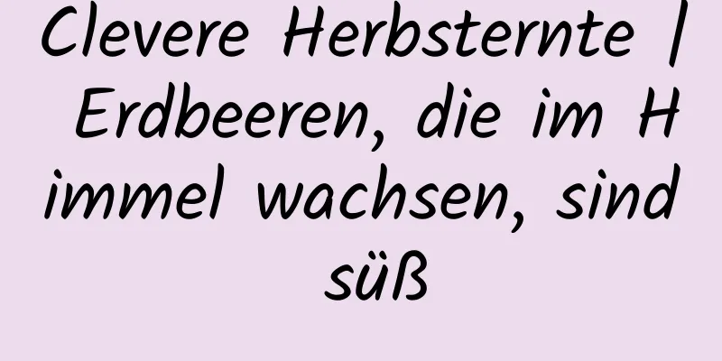 Clevere Herbsternte | Erdbeeren, die im Himmel wachsen, sind süß