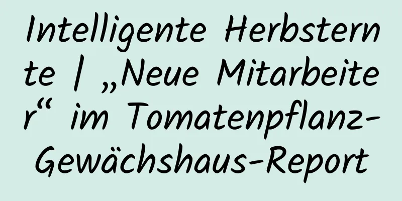 Intelligente Herbsternte | „Neue Mitarbeiter“ im Tomatenpflanz-Gewächshaus-Report