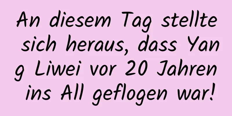 An diesem Tag stellte sich heraus, dass Yang Liwei vor 20 Jahren ins All geflogen war!