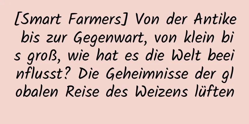 [Smart Farmers] Von der Antike bis zur Gegenwart, von klein bis groß, wie hat es die Welt beeinflusst? Die Geheimnisse der globalen Reise des Weizens lüften