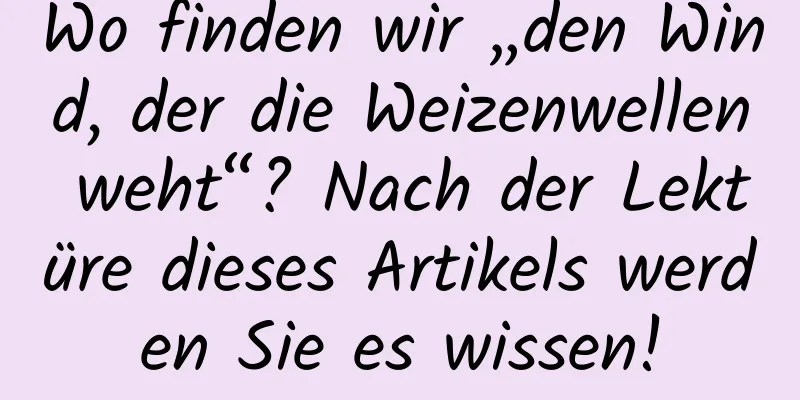 Wo finden wir „den Wind, der die Weizenwellen weht“? Nach der Lektüre dieses Artikels werden Sie es wissen!