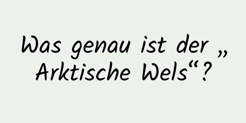 Was genau ist der „Arktische Wels“?