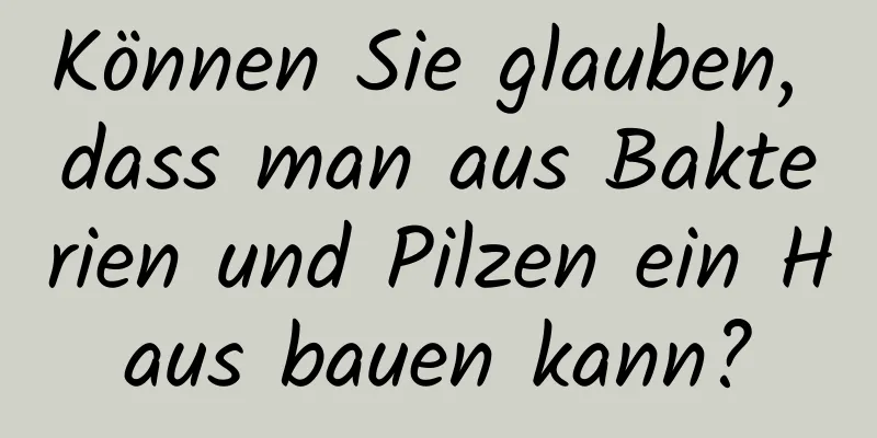 Können Sie glauben, dass man aus Bakterien und Pilzen ein Haus bauen kann?