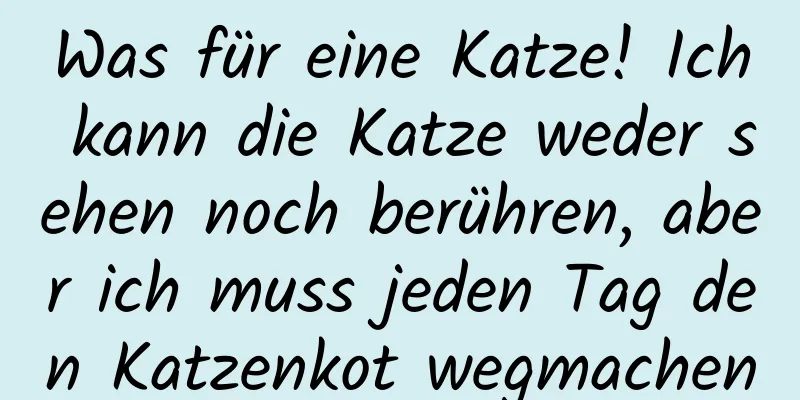 Was für eine Katze! Ich kann die Katze weder sehen noch berühren, aber ich muss jeden Tag den Katzenkot wegmachen