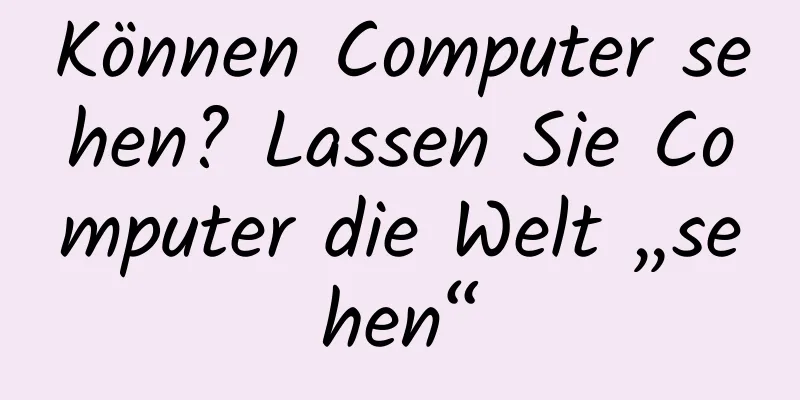 Können Computer sehen? Lassen Sie Computer die Welt „sehen“