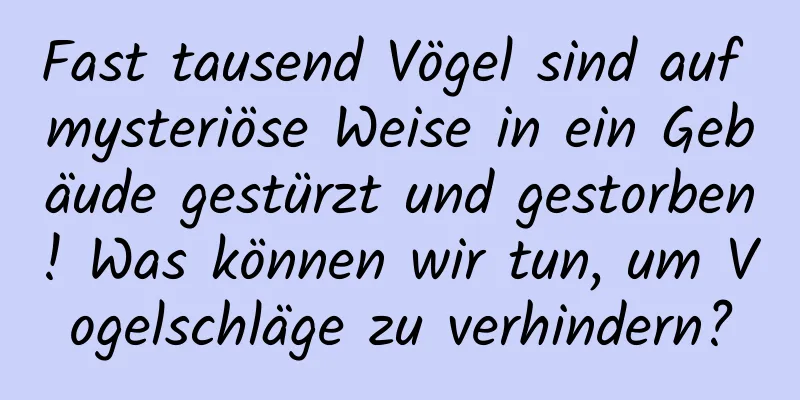 Fast tausend Vögel sind auf mysteriöse Weise in ein Gebäude gestürzt und gestorben! Was können wir tun, um Vogelschläge zu verhindern?