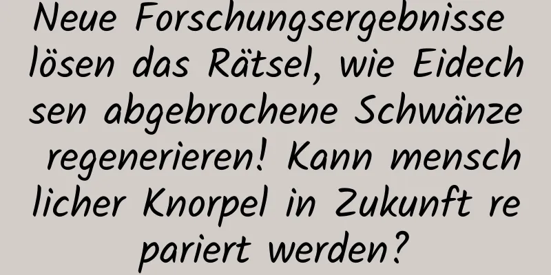 Neue Forschungsergebnisse lösen das Rätsel, wie Eidechsen abgebrochene Schwänze regenerieren! Kann menschlicher Knorpel in Zukunft repariert werden?