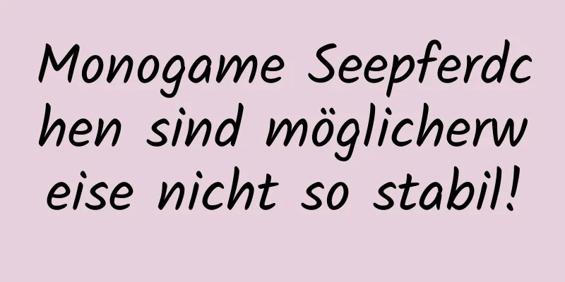 Monogame Seepferdchen sind möglicherweise nicht so stabil!