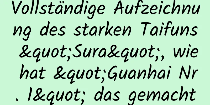 Vollständige Aufzeichnung des starken Taifuns "Sura", wie hat "Guanhai Nr. 1" das gemacht