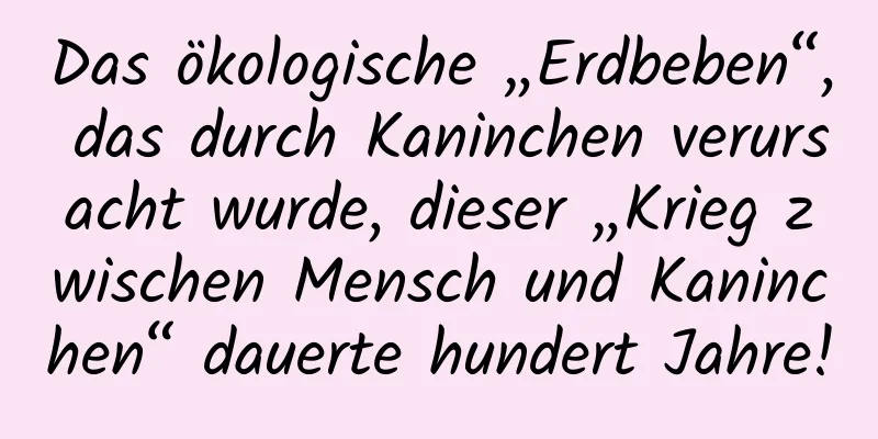 Das ökologische „Erdbeben“, das durch Kaninchen verursacht wurde, dieser „Krieg zwischen Mensch und Kaninchen“ dauerte hundert Jahre!