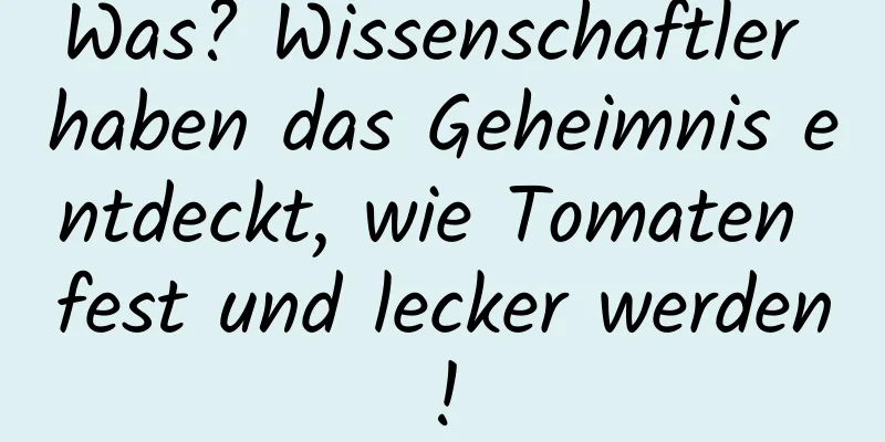 Was? Wissenschaftler haben das Geheimnis entdeckt, wie Tomaten fest und lecker werden!